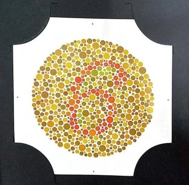 colour vision book plate no 6