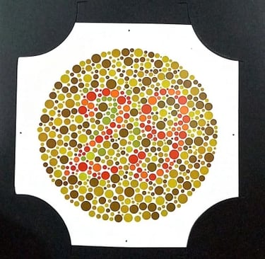 colour vision book plate no 29