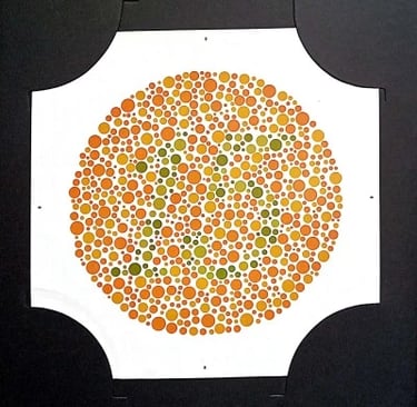 colour vision book plate no 15