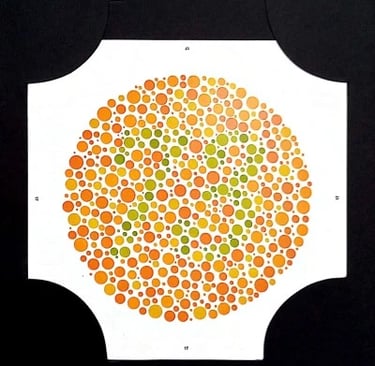colour vision book plate no 73