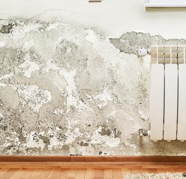 Interior wall with significant mold growth and water damage above a heater.