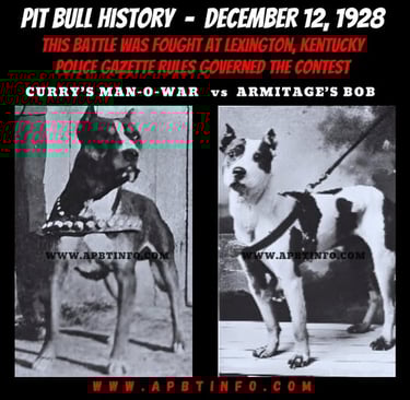 historical dog fighting 1928 currt's man o war vs Armitages Bob Police Gazette Rules