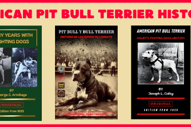 APBT BOOKS AND APBT MAGAZINES PDF DOWNLOAD GAMEDOG HISTORY