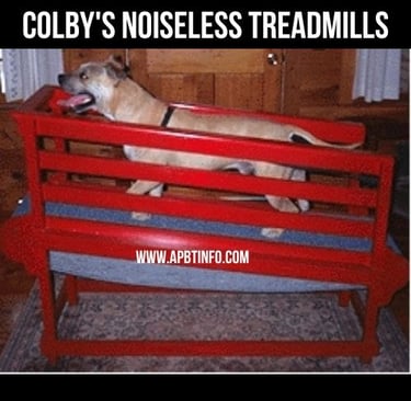 Colby Treadmills pitbull history