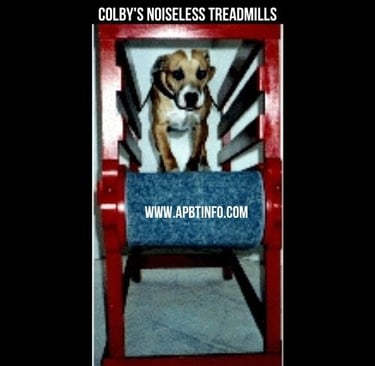 Colby NOISELESS TREADMILLS for American Pit Bull Terrier