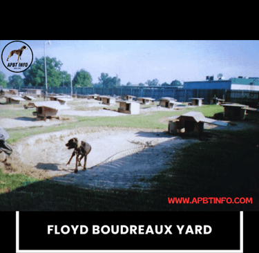 floyd boudreaux apbt history yard tour