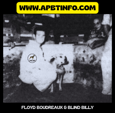 FLOYD BOUDREAUX BLID BILLY APBT HISTORI GAMEDOGS