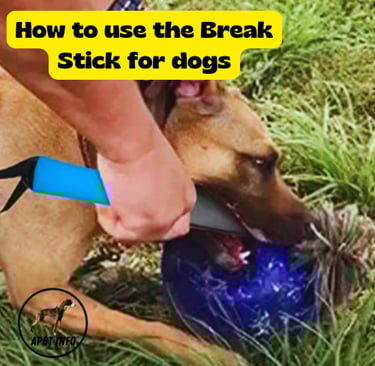 break stick tool used in dog fights to separate the animals with minimal damage