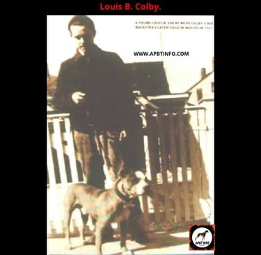 LOUIS B COLBY - COLBY PIT BULL DOGS