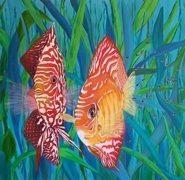 Couple de poissons discus rouge et jaune avec leurs petits au milieu des algues.