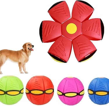 Doggy Toy