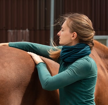 Akupressur nach der TCM für Hunde und Pferde