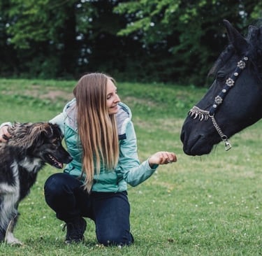 Animal Communication allows you to connect to your animal and pet