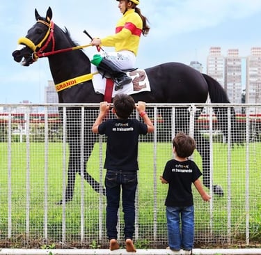 a woman riding a horse in a fenced in area
