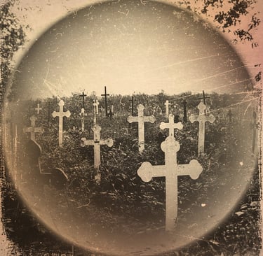 a group of crosses in a field with a sky background