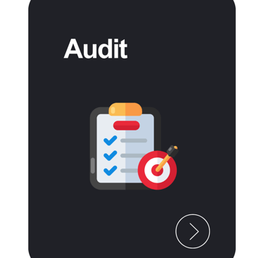 service : audit