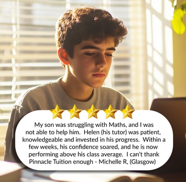 our success in Maths tutoring