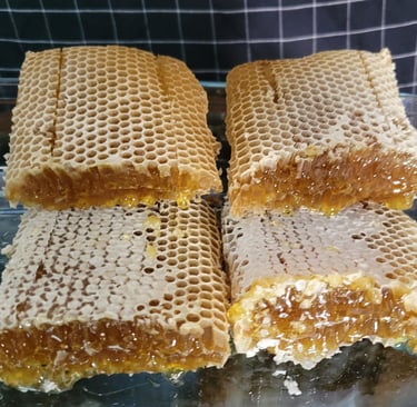 Pieces of Honey Comb