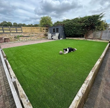 pet friendly artificial grass goals floors