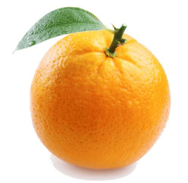 orange-for-deodorizer-after-pet-waste-removal-services