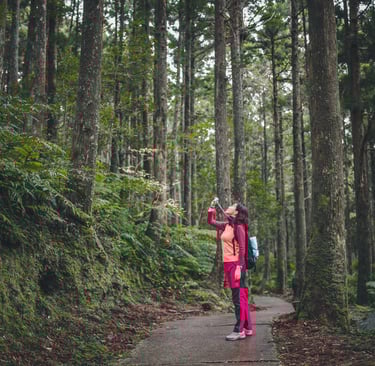 mulher en contato com a natureza