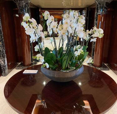 plants and flowers on luxury yacht
