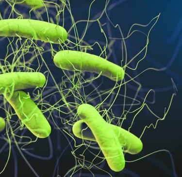 a group of green and yellow bacterias