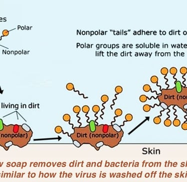 a diagram of how to use a skin care system