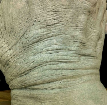 Close-up detail of a textured grey concrete sculpture showing deep horizontal ridges and stone skin texture.