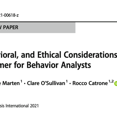 Journal title of the paper - decorative