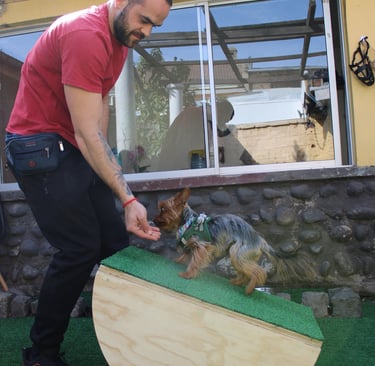 Clase Propiocepción en ñuñoa