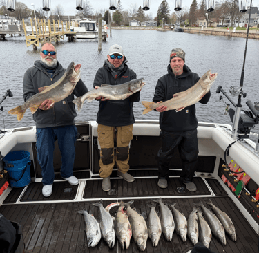 Ludington Fishing Brown trout tournament