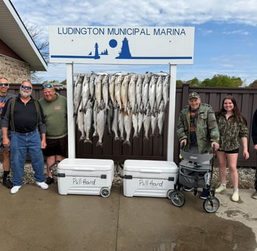 Ludington salmon fishing catch at Ludington Municipal Marina with Pull Hard Fishing