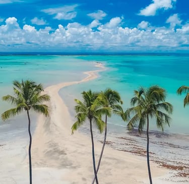 Maragogi (AL) praia no Brasil que parece com o Caribe. Seus coqueiros, areia branca e mar cristalino