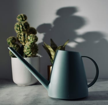 Houseplant watering can with a cactus