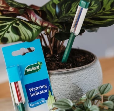 Westland in-pot moisture meter to tell you accurately when to water your houseplants