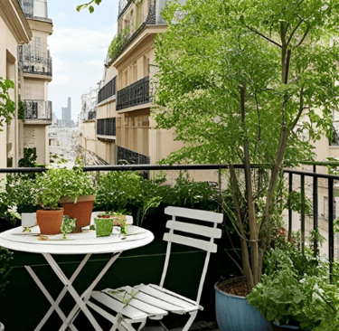 Balcon encombré avec plantes mal entretenues et pots cassés, illustrant les erreurs de jardinage.