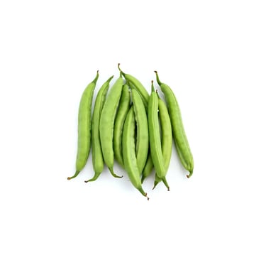 Gousse de haricots verts nains