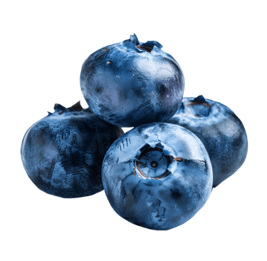 Myrtilles bleuets