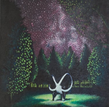 Image of light dancing on a starry night.