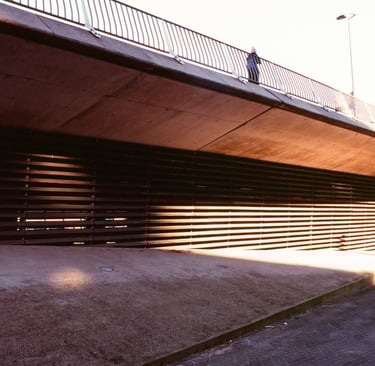 city vibes captured on analog film