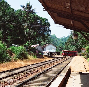 tropical railway station captured on analog film