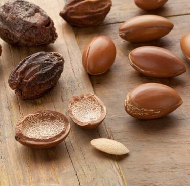 Argan fruit, argan nuts cracked 