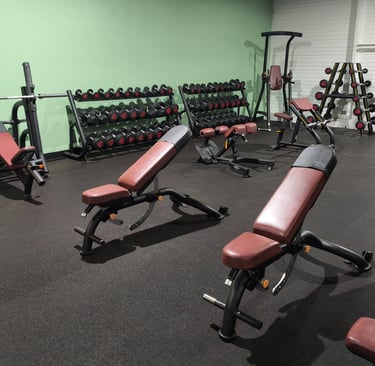 Banc et haltères de musculation