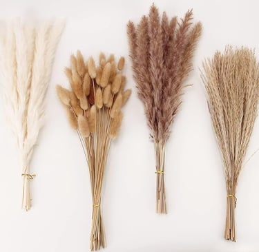 Four bundles of dried pampas grass and natural stems in assorted neutral tones
