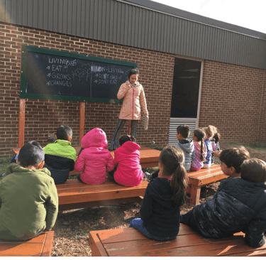 the outdoow classroom