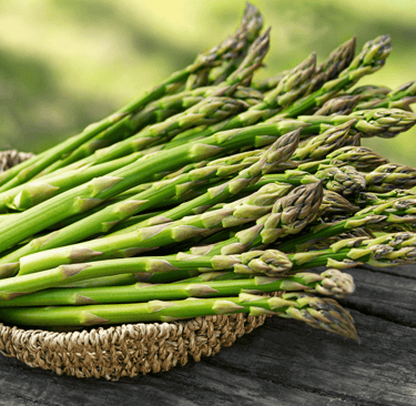 best perennial vegetables bulk asparagus crowns