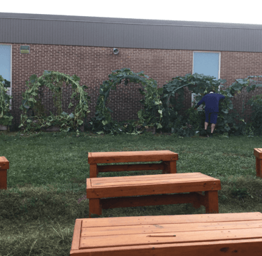 school garden raised beds behind benches