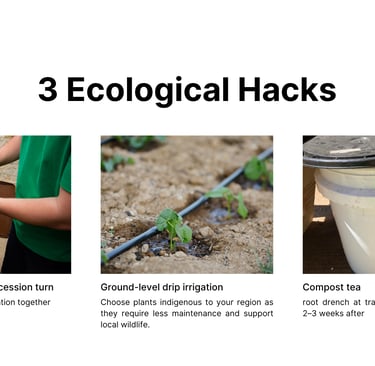 3 ecological hacks