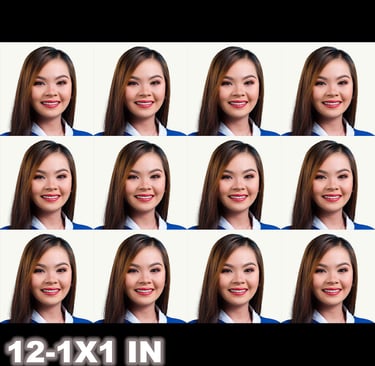 12-1X1in